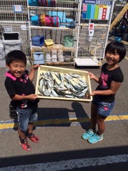 マリーナシティ海釣り公園　サビキのイワシ＆…