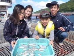 須磨海釣り公園　サビキでアジ・イワシ・サバの釣果