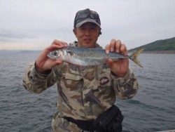 神戸市立須磨海づり公園でウキ流し　サバ