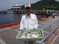 神戸市立須磨海づり公園　サビキでアジ