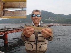 キス記録賞！神須磨海づり公園で投げ釣り