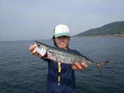 神戸市立須磨海づり公園 ウキサビキでサバ41ｃｍ☆