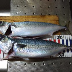 台風接近前に！