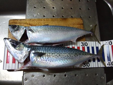 台風接近前に！