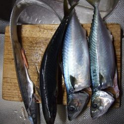 もう、終わり？