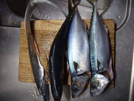 もう、終わり？