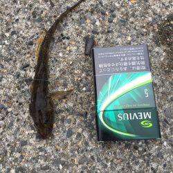 雨あがりで、、