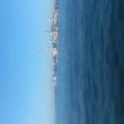 不安定な太刀魚 確実なサビキ