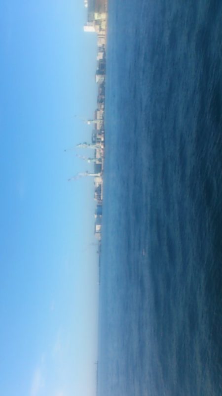 不安定な太刀魚 確実なサビキ