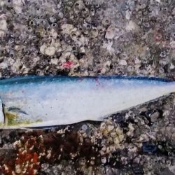 何とか釣れました！