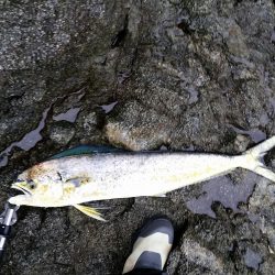 雨の中粘りました！