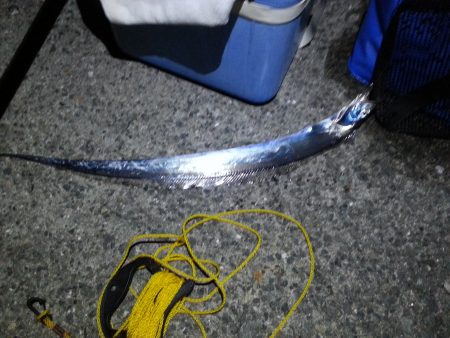 初心者大サバ狙い