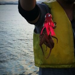 武庫川一文字にタコ狙い