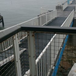 デカサバを求めて