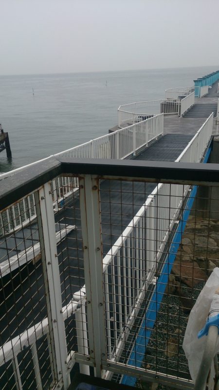 デカサバを求めて