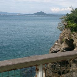 デカサバを求めて