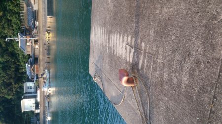 フライが食べたくなって