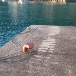 フライが食べたくなって