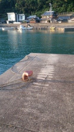 フライが食べたくなって