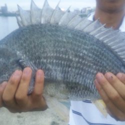 キビレ浮き流し