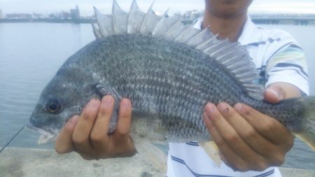 キビレ浮き流し