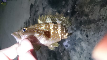 こんなところに、