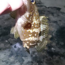 こんなところに、