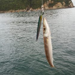 マイクロショアジギ