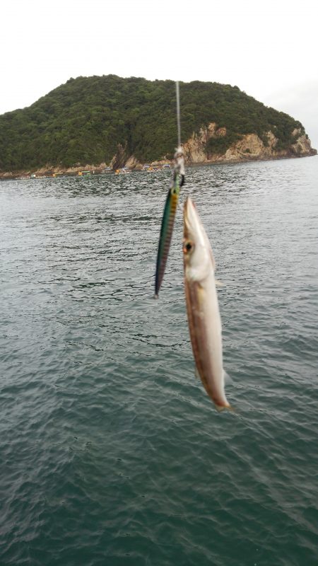 マイクロショアジギ