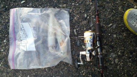 夏エギング＆キッシング！！