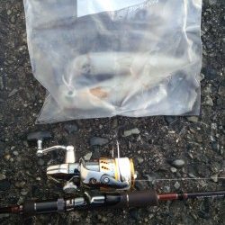 夏エギング＆キッシング！！