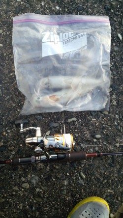 夏エギング＆キッシング！！