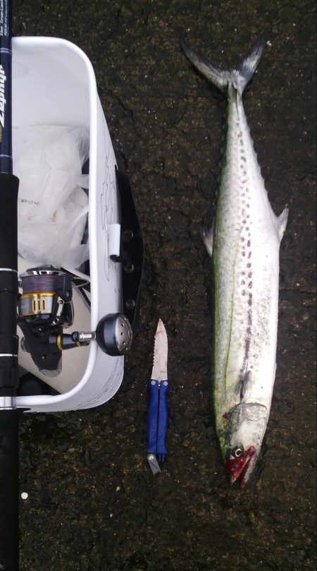 ショアジギでサワラ