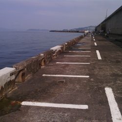 北港釣り公園ショアジギ