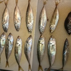 調理が大変！！