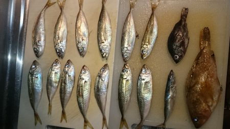 調理が大変！！