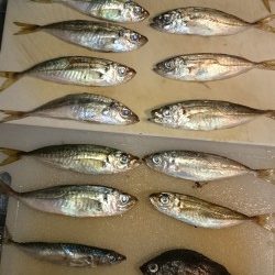 調理が大変！！