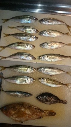 調理が大変！！