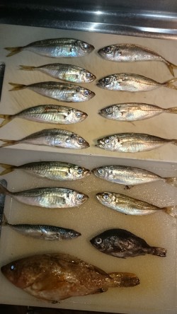 調理が大変！！