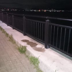 雨が上がったのでちょっとだけ