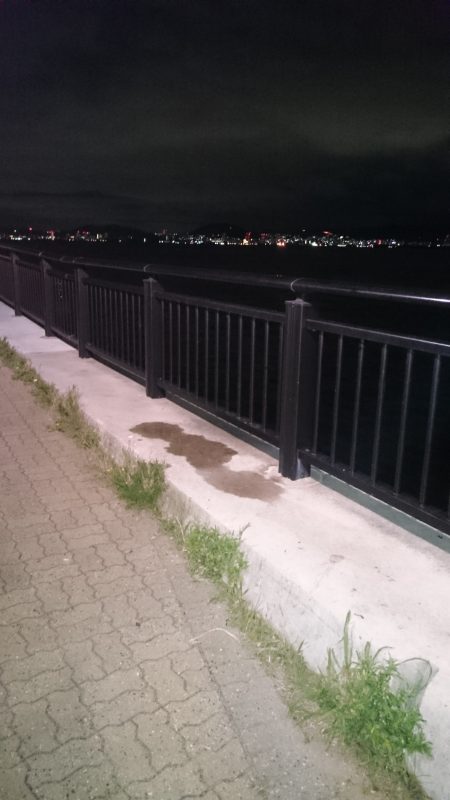 雨が上がったのでちょっとだけ