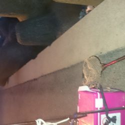 とりあえず、食料調達