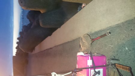 とりあえず、食料調達