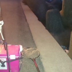 とりあえず、食料調達