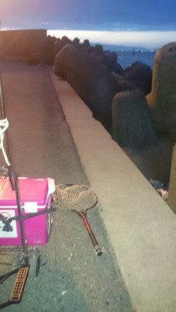 とりあえず、食料調達