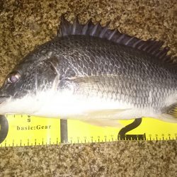 会社返りに・・・