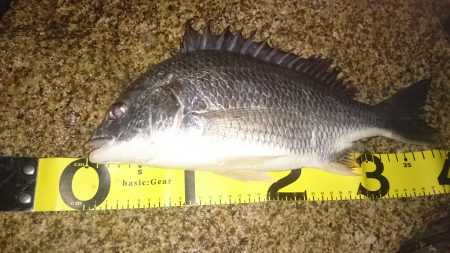 会社返りに・・・