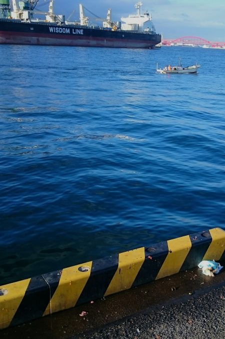 豆アジ 大漁です