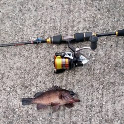 仕事の途中なんですが、、、