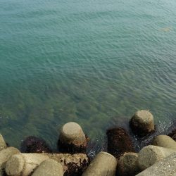 台風後の海の具合を見に♪